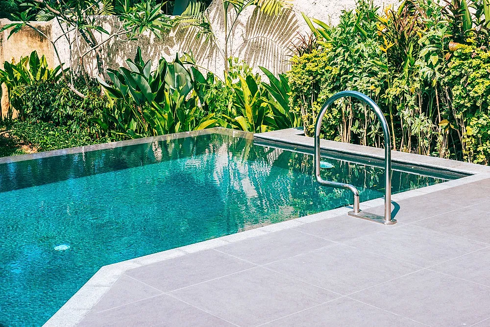 piscina con plantas de fondo